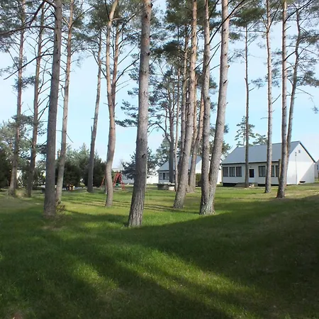 8 Mini *