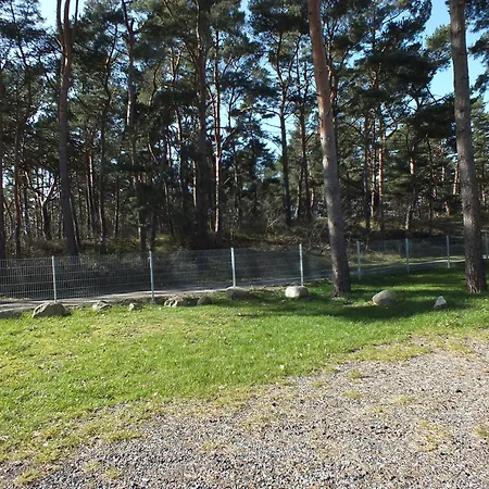 8 Mini Pruchten